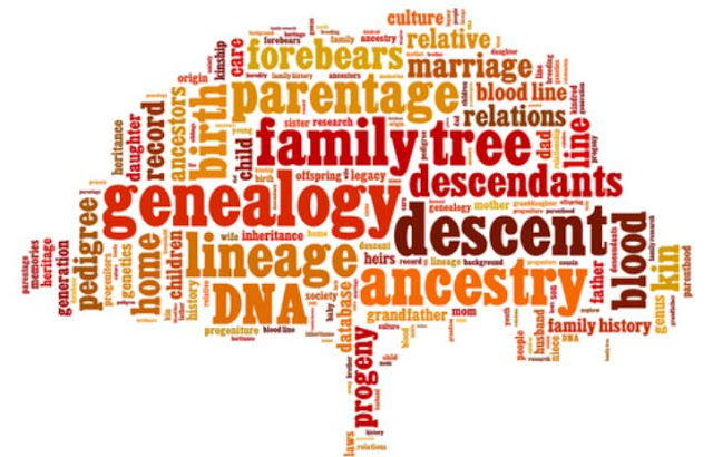 genealogy tree