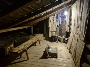 09 Reconstruction of a malina at the Green House